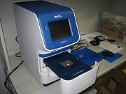 定量PCR