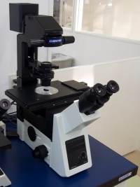 リサーチ顕微鏡